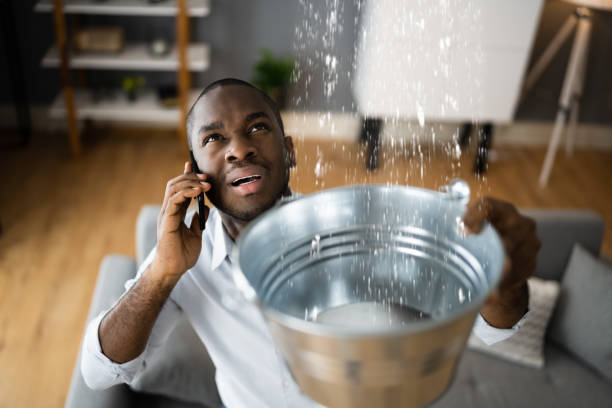 Best Water damage contractors near me  in Cushing, OK