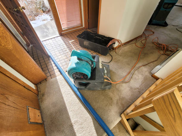 Best Water damage cleanup near me  in Cushing, OK