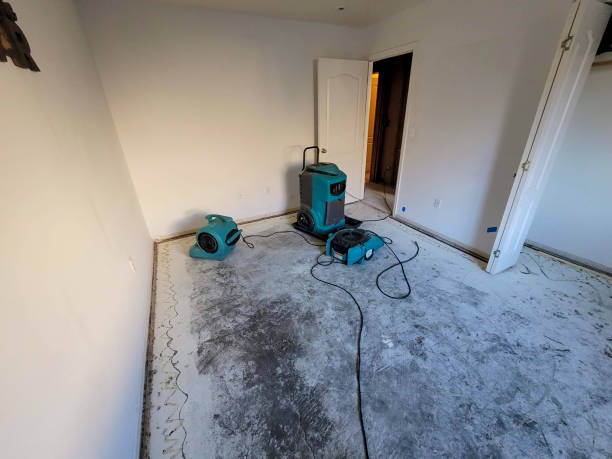 Best Water damage restoration company  in Cushing, OK