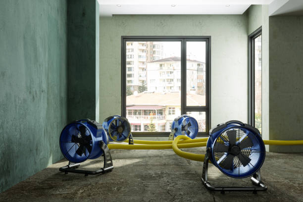 Best Mold removal after water damage  in Cushing, OK